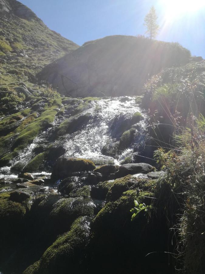 Almdorf Omlach, Fanningberg Weisspriach エクステリア 写真