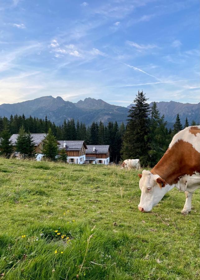 Almdorf Omlach, Fanningberg Weisspriach エクステリア 写真